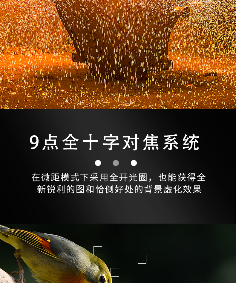 防爆相機(jī)Excam1805