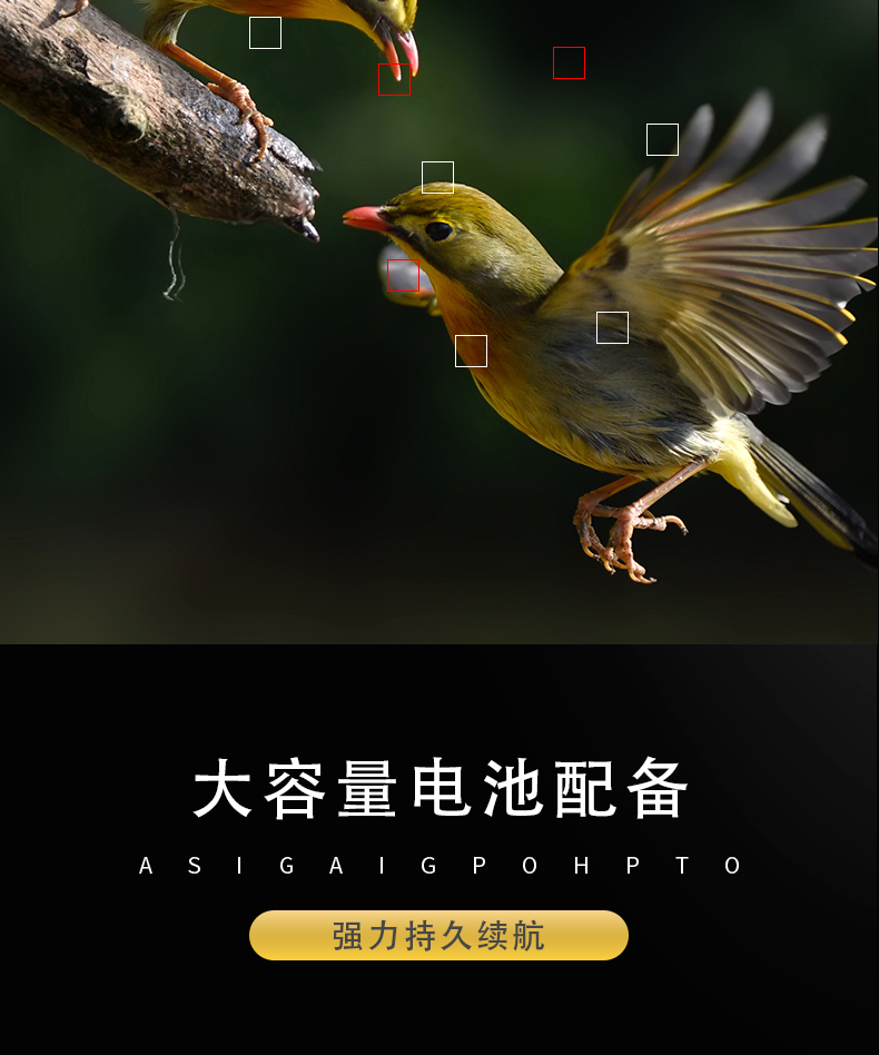 防爆相機(jī)Excam1805